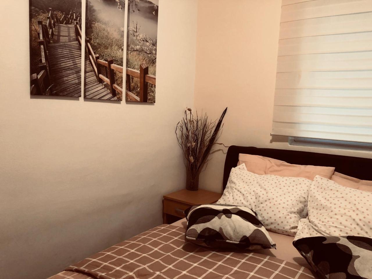 Apartments Aleksandar Petrovac Dış mekan fotoğraf
